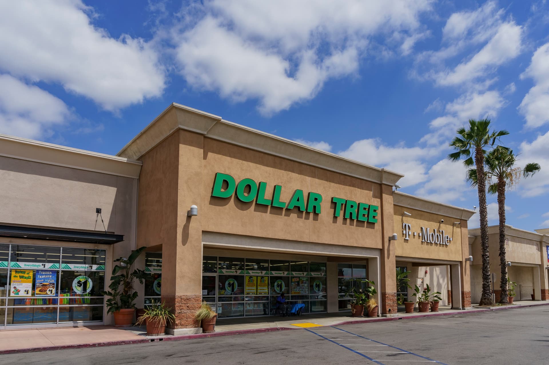 why dollar tree stock is top retail name in 2025